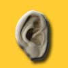 link to world ear